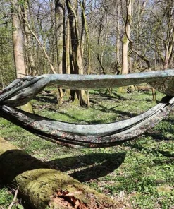 DD Hammocks Nest MC riippumatto
