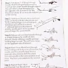 Lockstitch Käsiompelukone