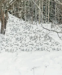 Varusteleka laavukangas